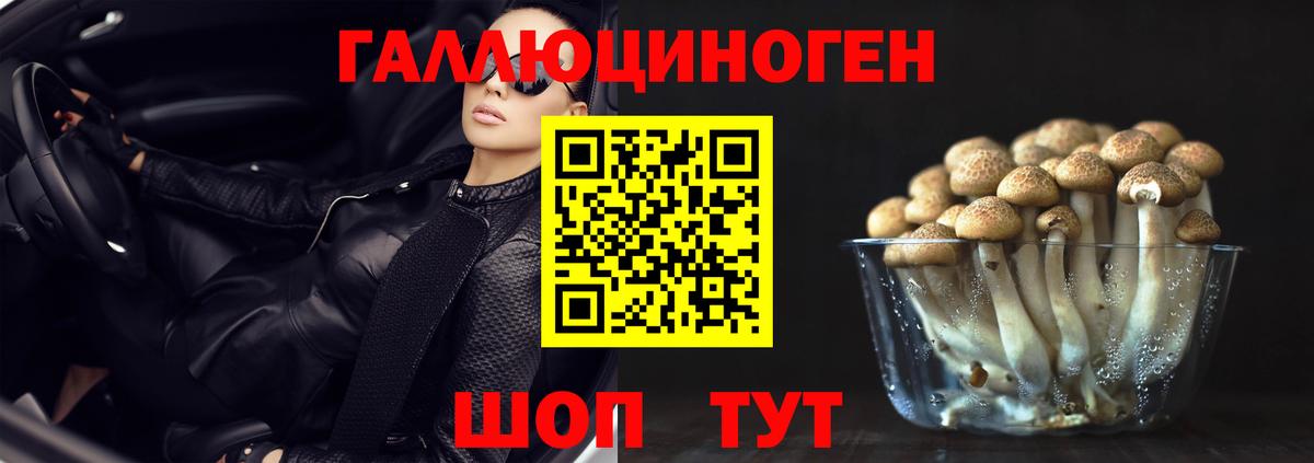 Галлюциногенные грибы мицелий  Вход с VPN  Красноуфимск 